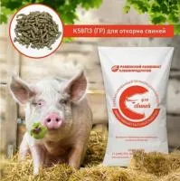 Комбикорм для свиней: виды и приготовление в домашних условиях